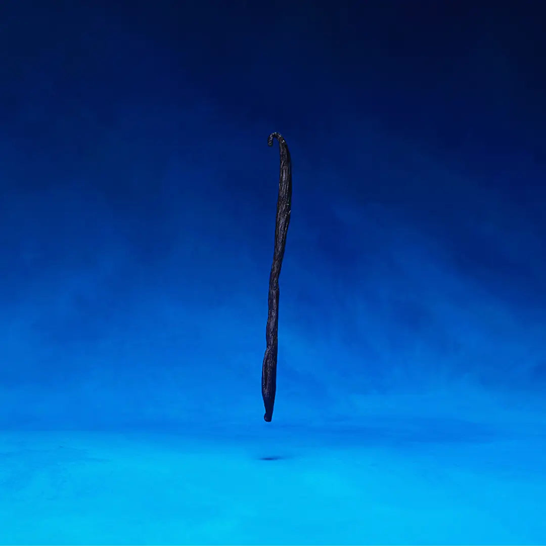 L'Ivrée Nuit Extrait